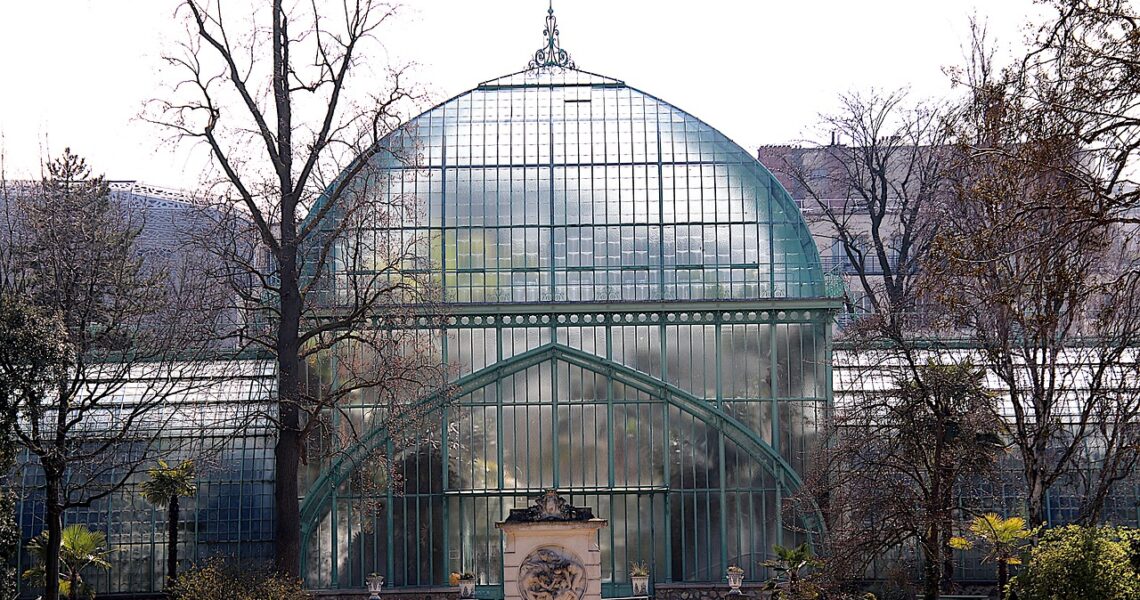 Comment_améliorer_votre_espace_vert_avec_une_serre_de_jardin_?