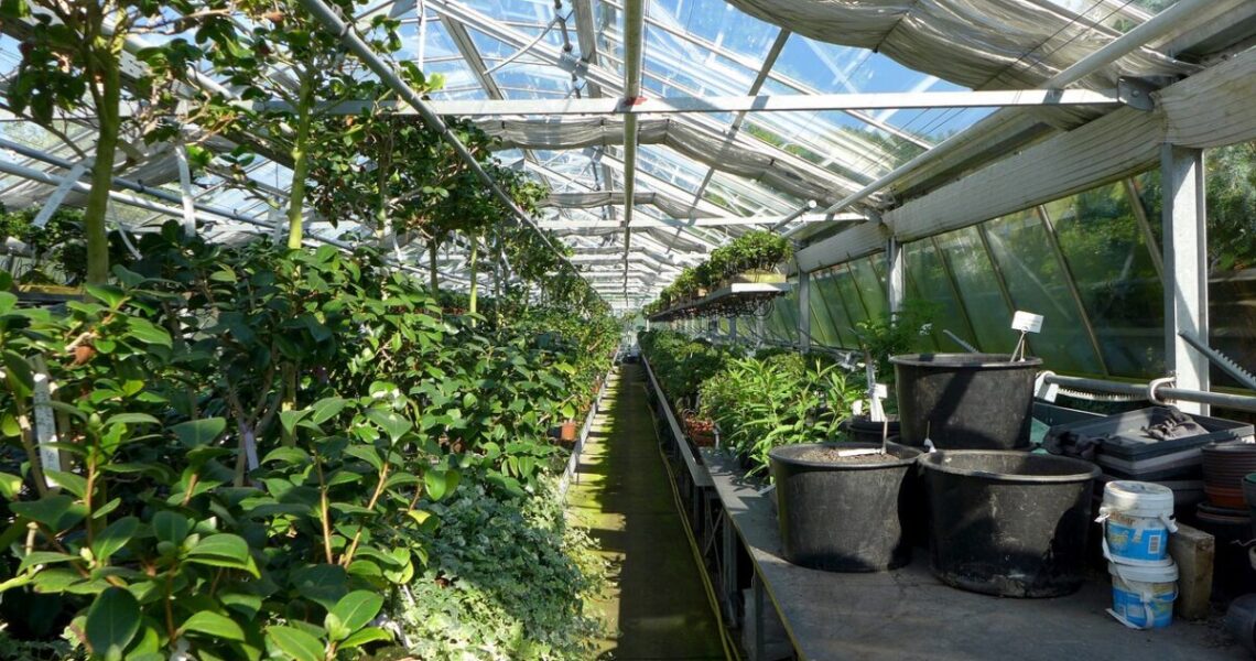 Comment_les_jardins_de_fermes_urbaines_peuvent_améliorer_votre_espace_maison_?