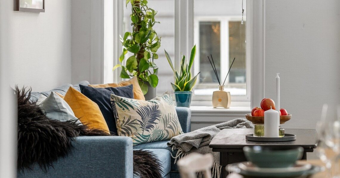 Créer_son_oasis_verte_:_le_guide_du_jardinage_en_appartement