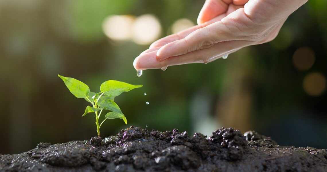 Pourquoi_adopter_le_jardinage_sans_labour_pour_votre_maison_?