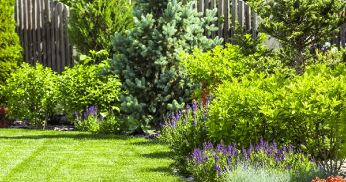 amenagement jardin paysager